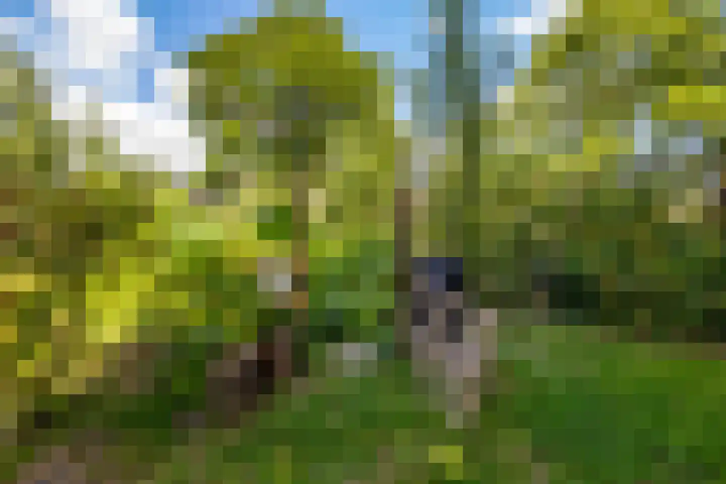 Hylkemaheerd 25 Groningen thumbnail 45