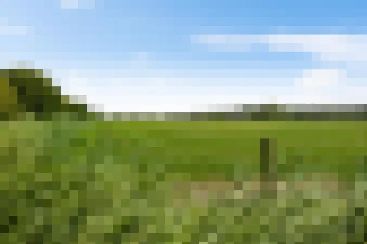 Hylkemaheerd 25 Groningen thumbnail 47