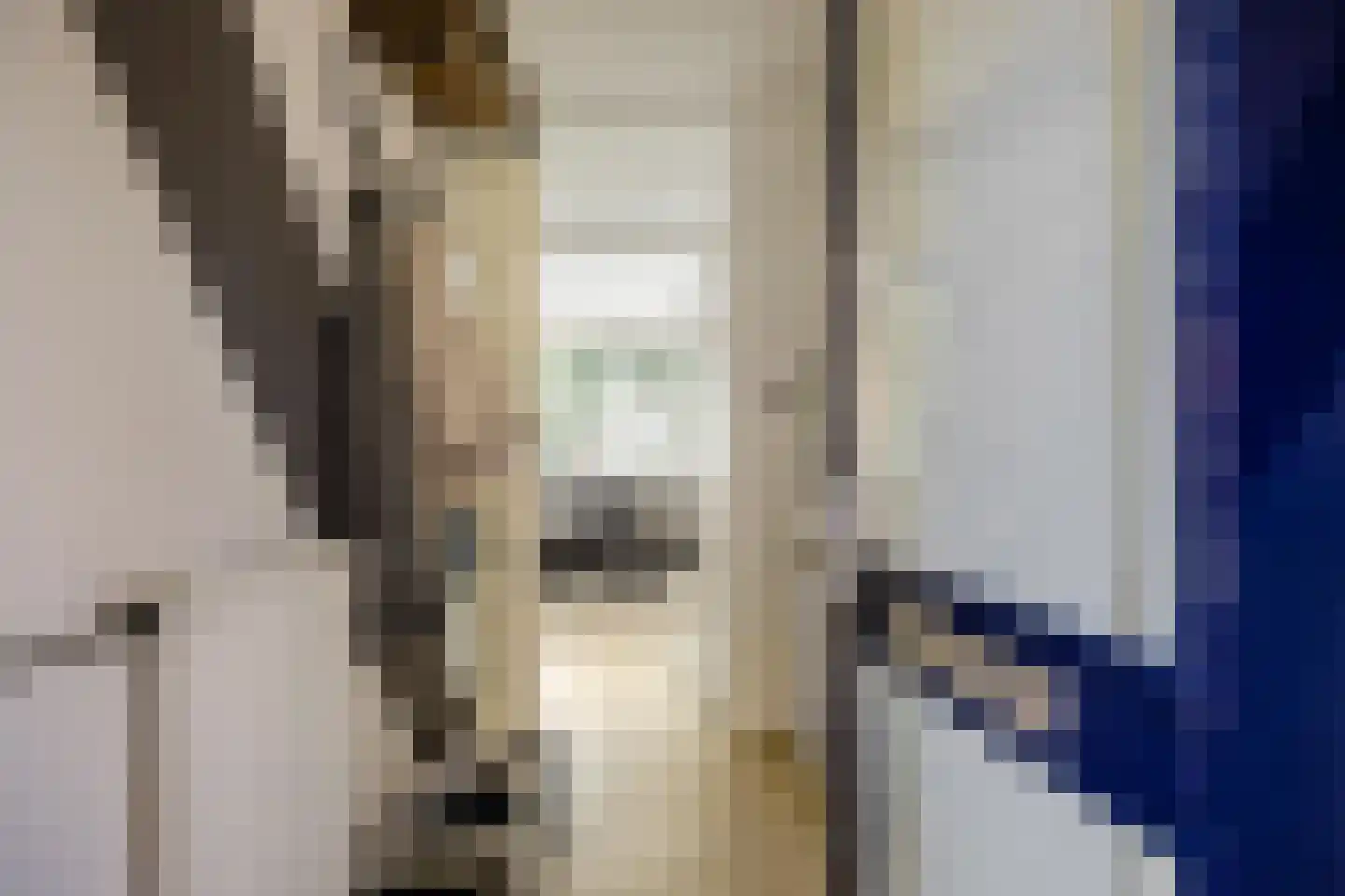 Hylkemaheerd 25 Groningen thumbnail 8