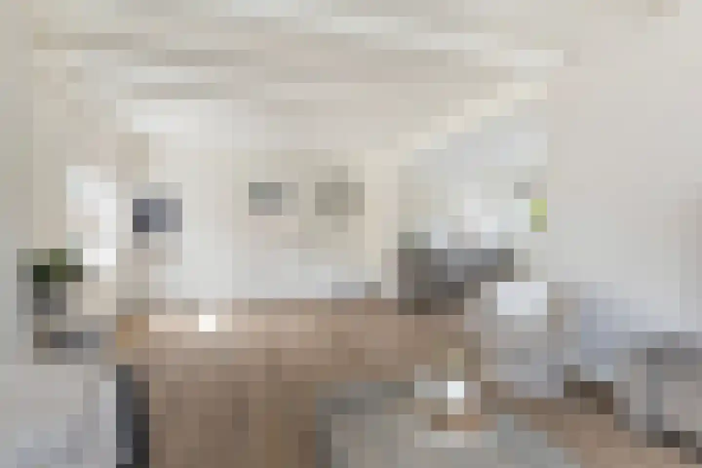 Hynsteblom 5 Damwâld foto 2