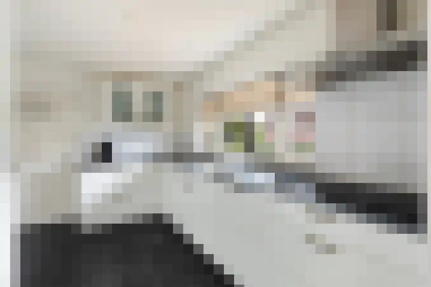 Hynsteblom 5 Damwâld thumbnail 24