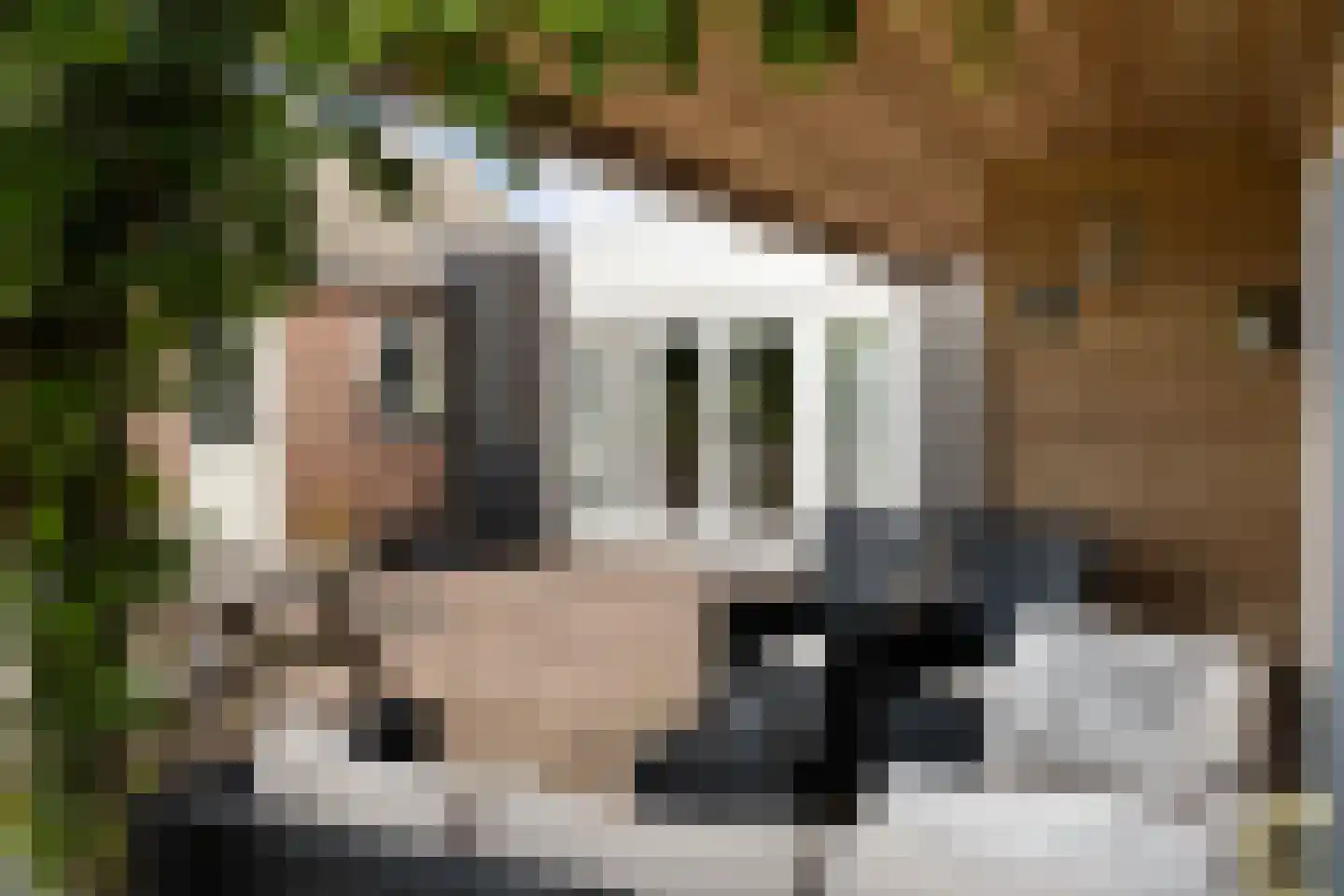 Hynsteblom 5 Damwâld thumbnail 27