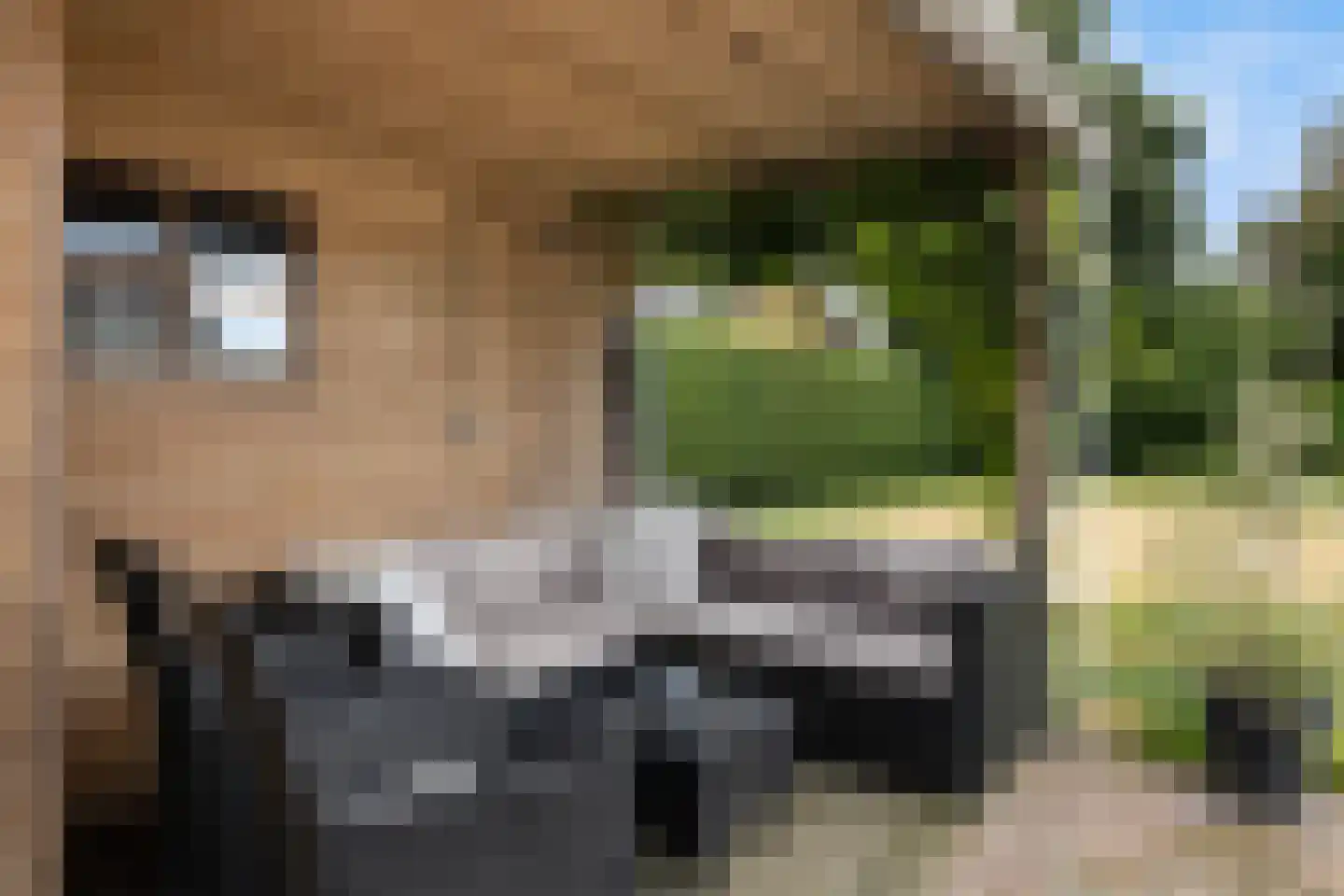 Hynsteblom 5 Damwâld thumbnail 28