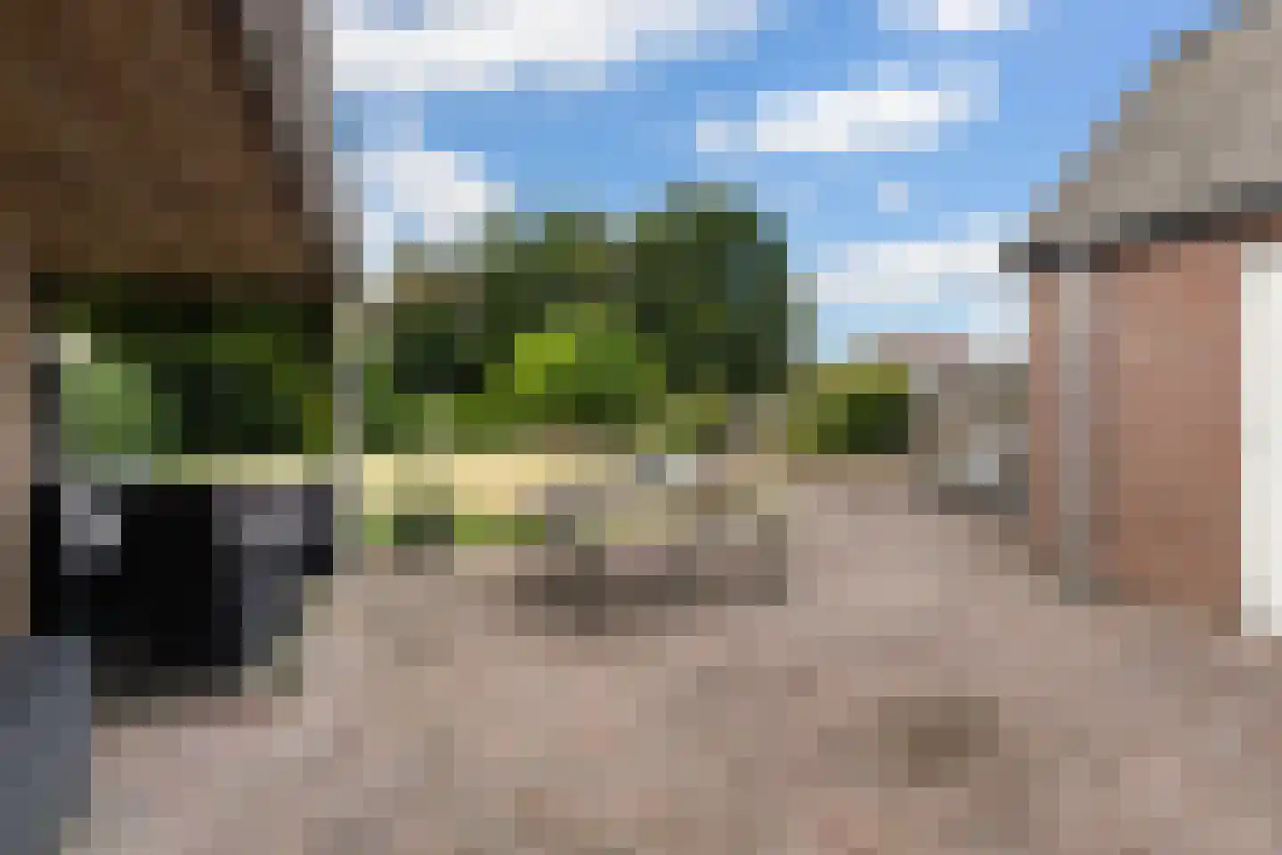 Hynsteblom 5 Damwâld thumbnail 29