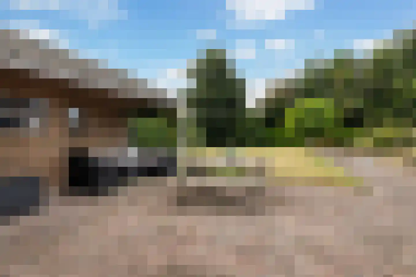 Hynsteblom 5 Damwâld thumbnail 30