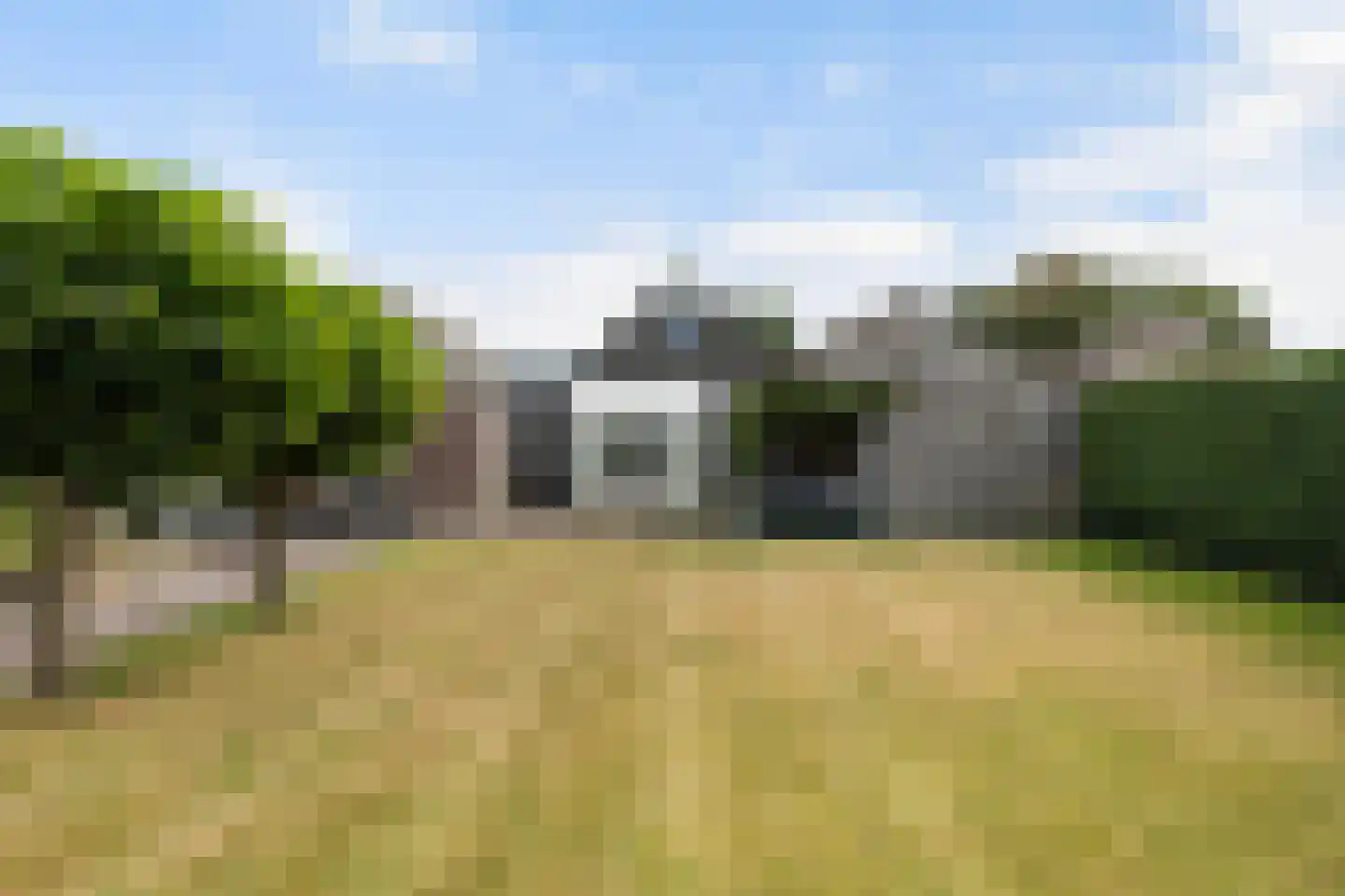 Hynsteblom 5 Damwâld thumbnail 33