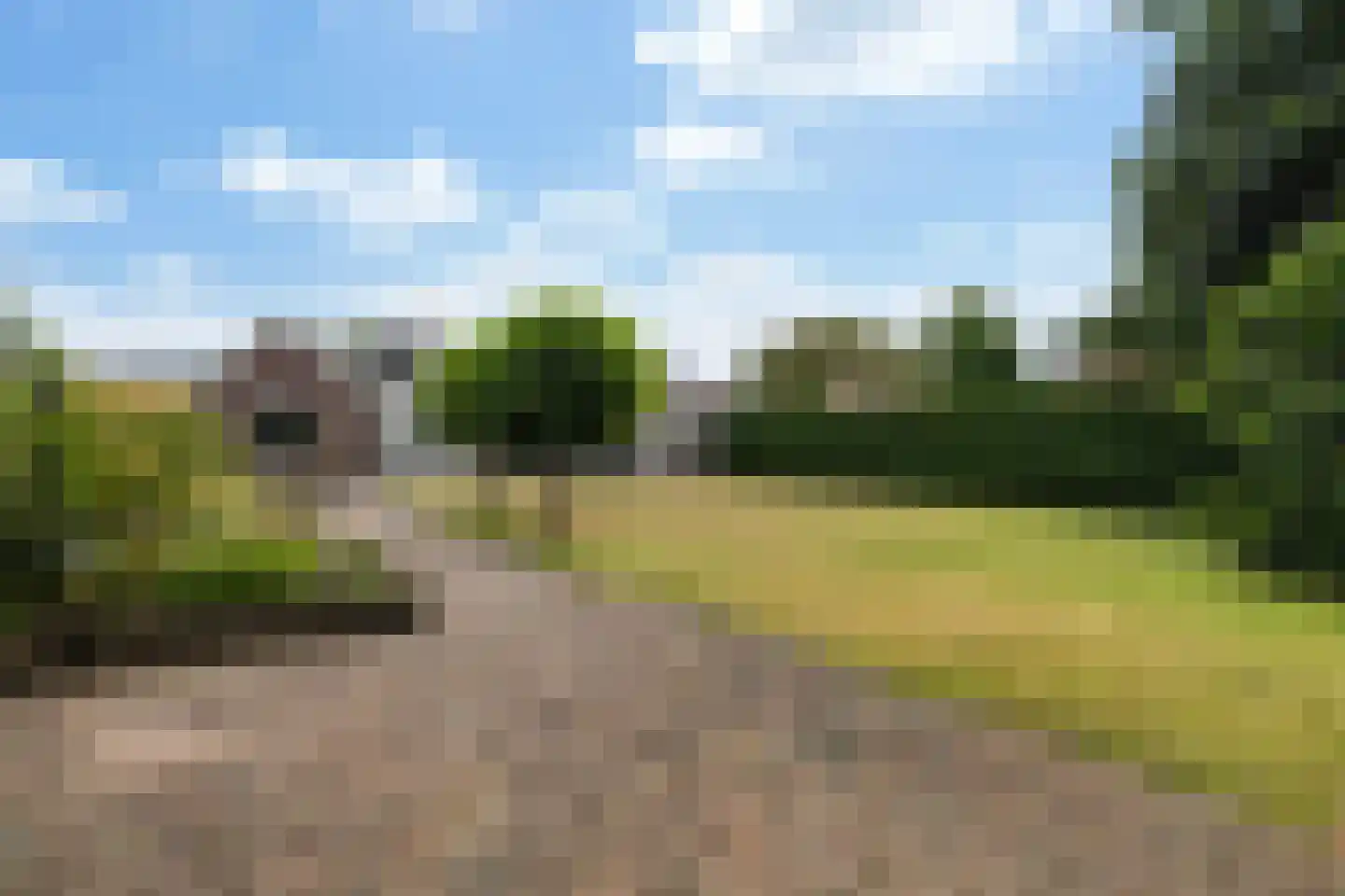 Hynsteblom 5 Damwâld thumbnail 34