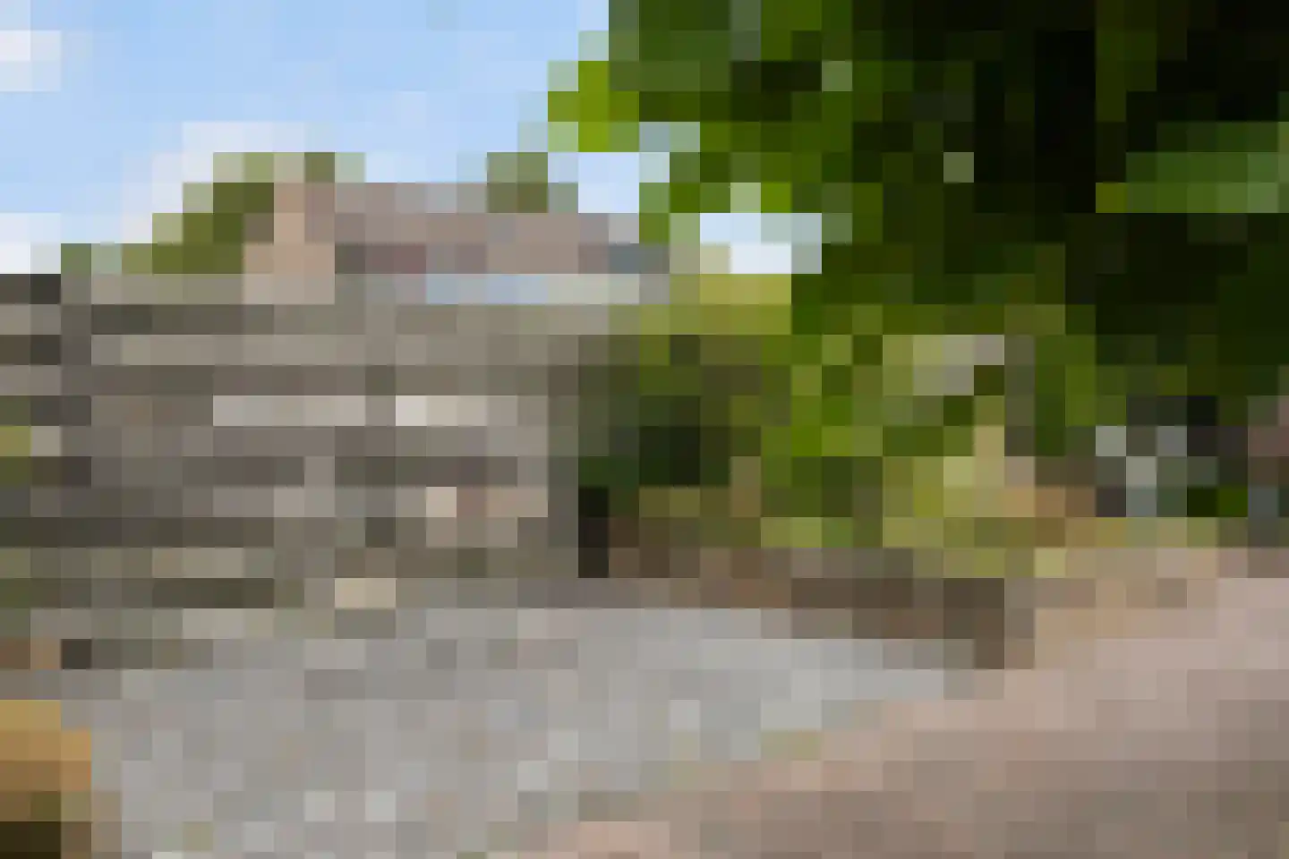 Hynsteblom 5 Damwâld thumbnail 36