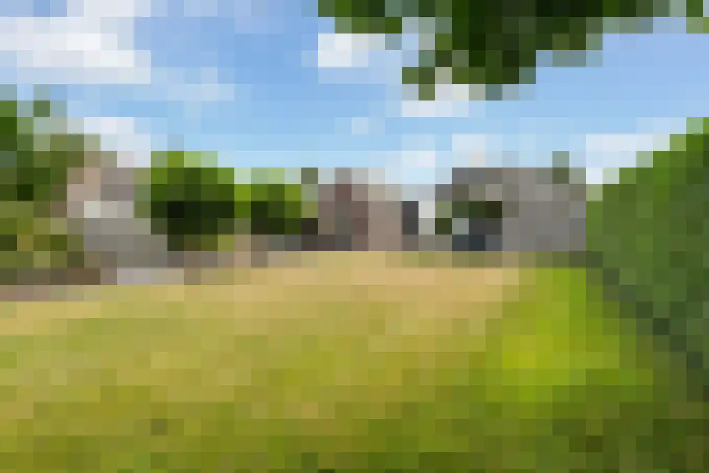 Hynsteblom 5 Damwâld thumbnail 39