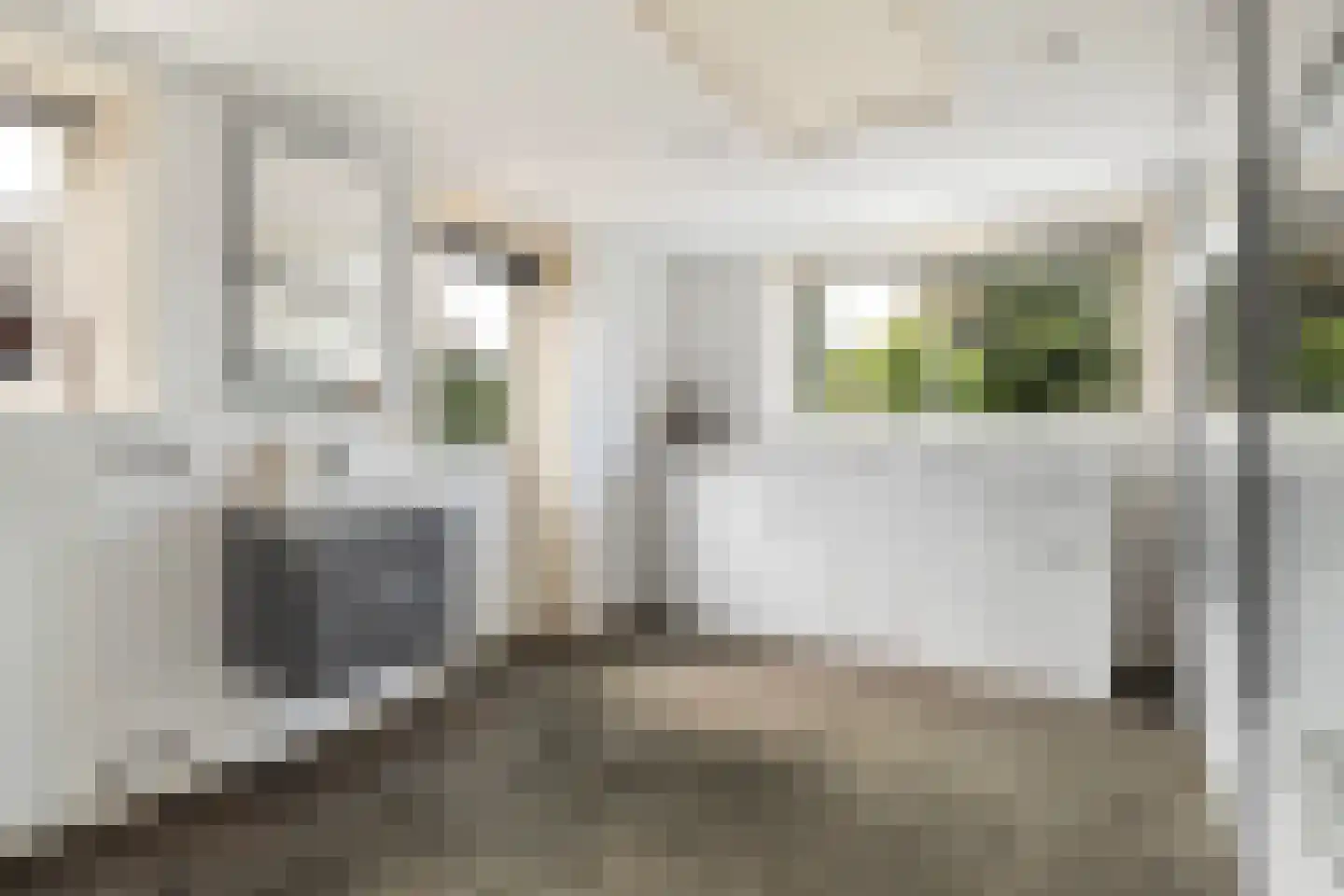 Hynsteblom 5 Damwâld thumbnail 41