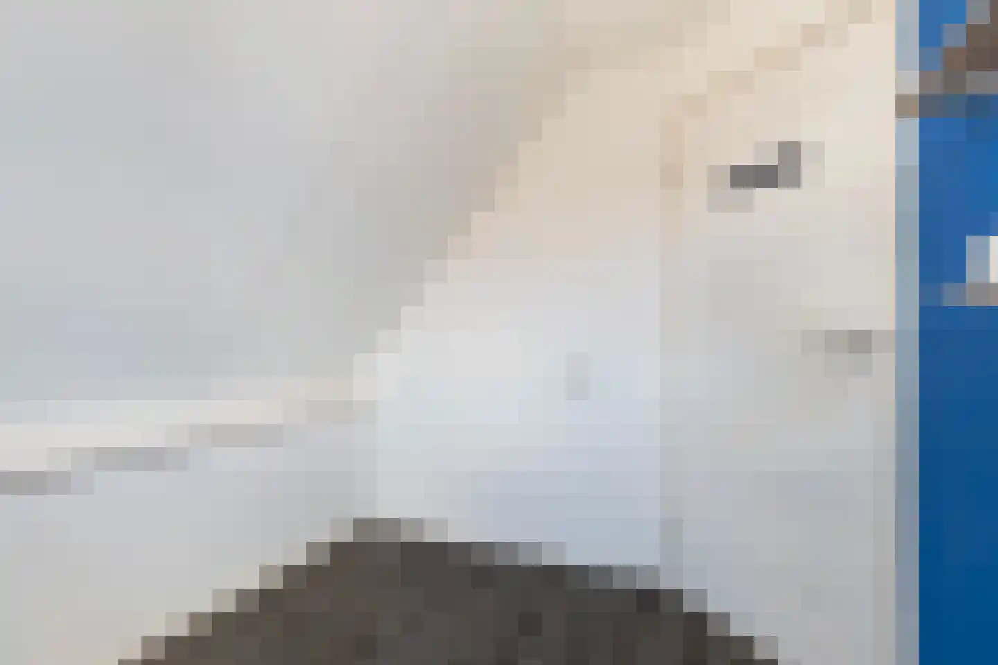 Hynsteblom 5 Damwâld thumbnail 45