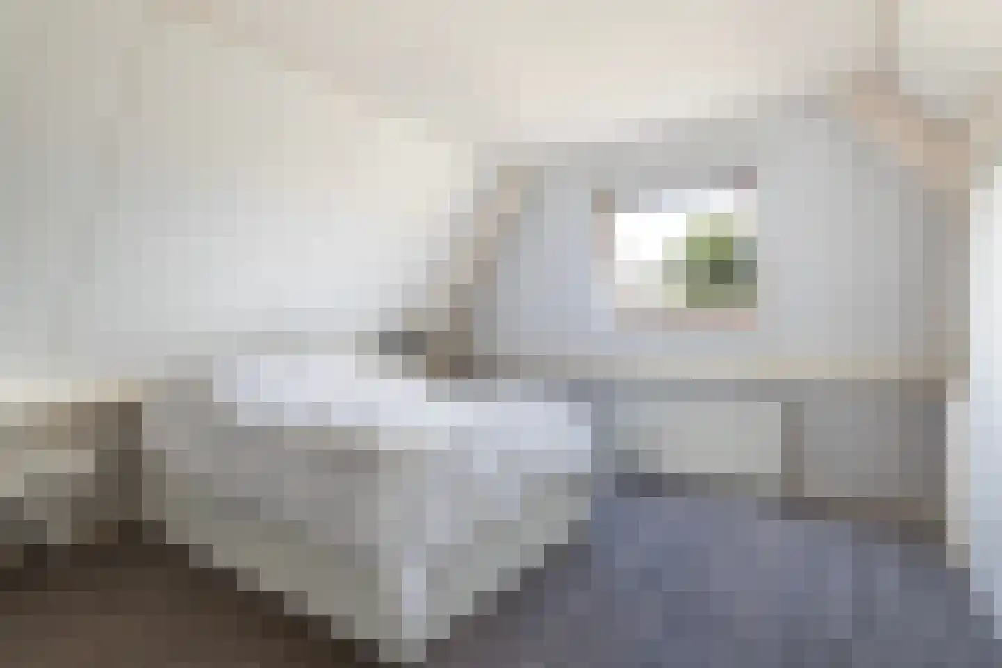 Hynsteblom 5 Damwâld thumbnail 46