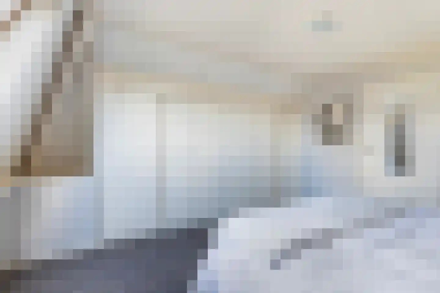 Hynsteblom 5 Damwâld thumbnail 48