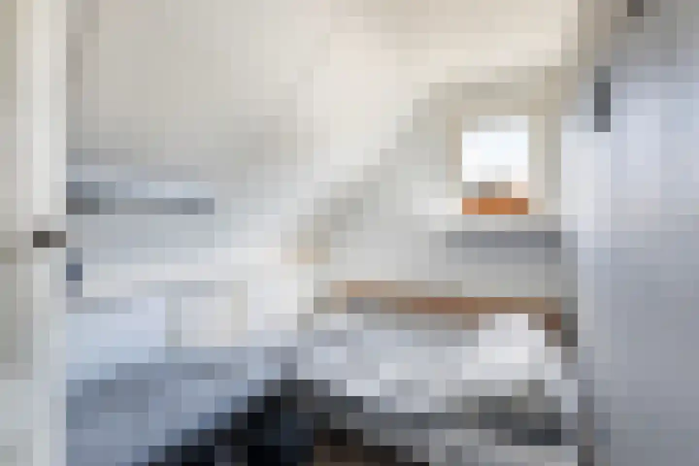 Hynsteblom 5 Damwâld thumbnail 49