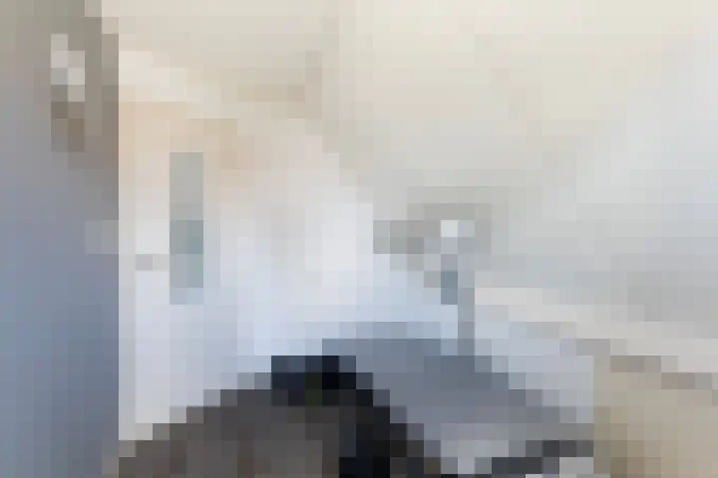 Hynsteblom 5 Damwâld thumbnail 50