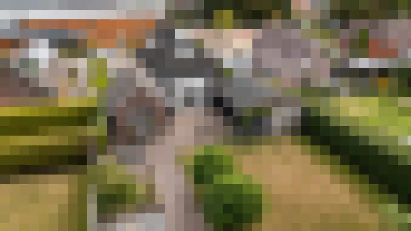 Hynsteblom 5 Damwâld thumbnail 60