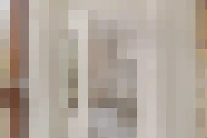 Hynstewaed 12 Stiens thumbnail 10