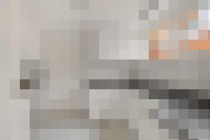 Hynstewaed 12 Stiens thumbnail 11