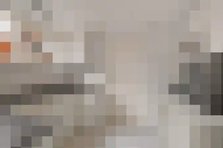 Hynstewaed 12 Stiens thumbnail 12