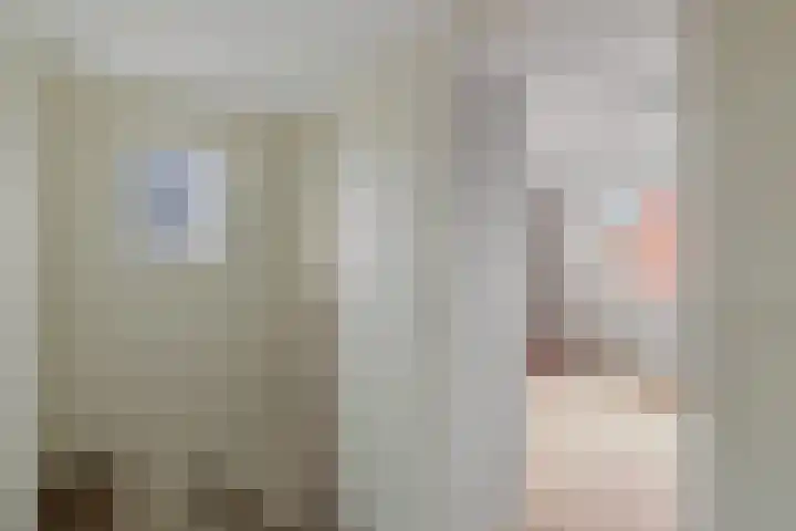 Hynstewaed 12 Stiens thumbnail 15