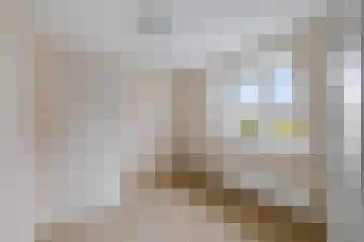 Hynstewaed 12 Stiens thumbnail 21