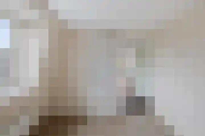 Hynstewaed 12 Stiens thumbnail 22