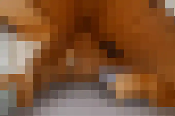 Hynstewaed 12 Stiens thumbnail 24