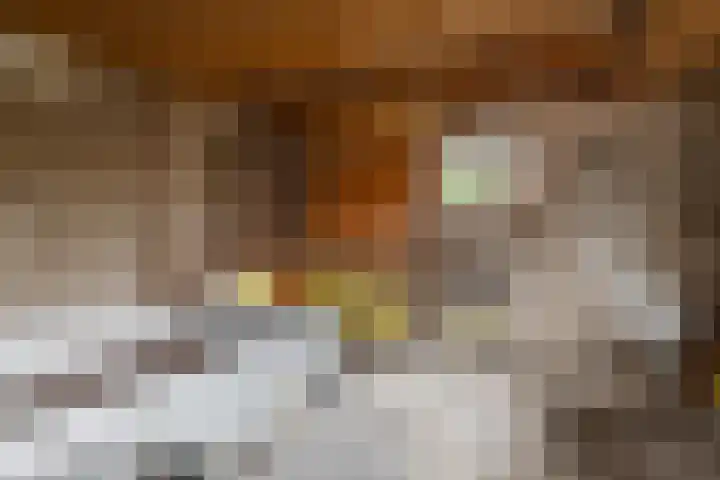 Hynstewaed 12 Stiens thumbnail 27