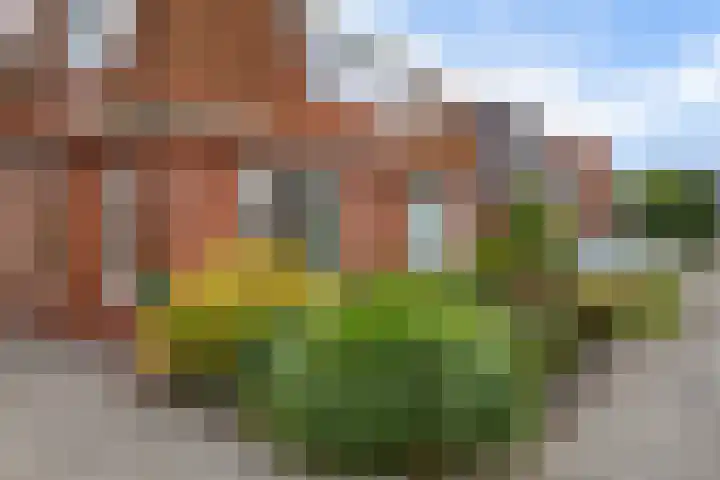 Hynstewaed 12 Stiens thumbnail 28
