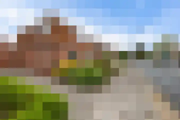 Hynstewaed 12 Stiens thumbnail 29
