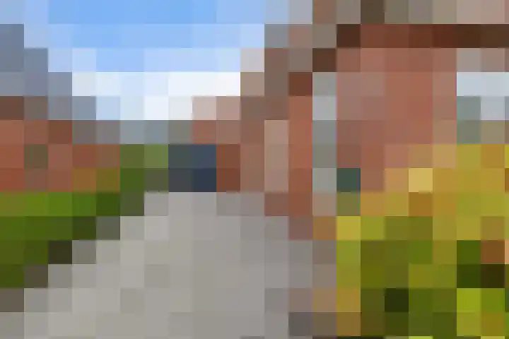 Hynstewaed 12 Stiens thumbnail 31