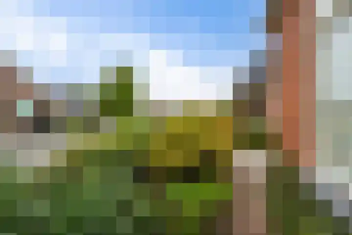 Hynstewaed 12 Stiens thumbnail 32