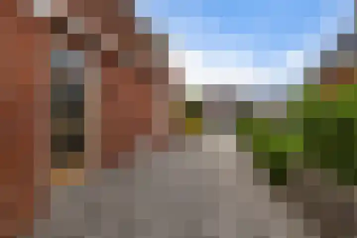Hynstewaed 12 Stiens thumbnail 34