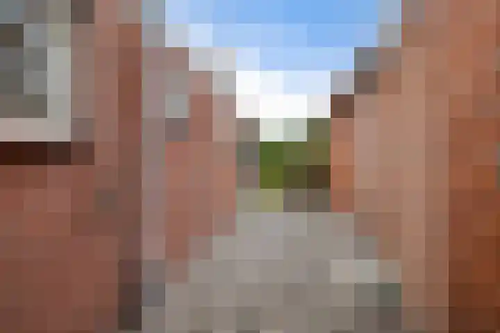 Hynstewaed 12 Stiens thumbnail 36