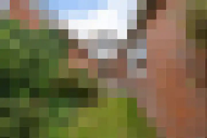 Hynstewaed 12 Stiens thumbnail 37
