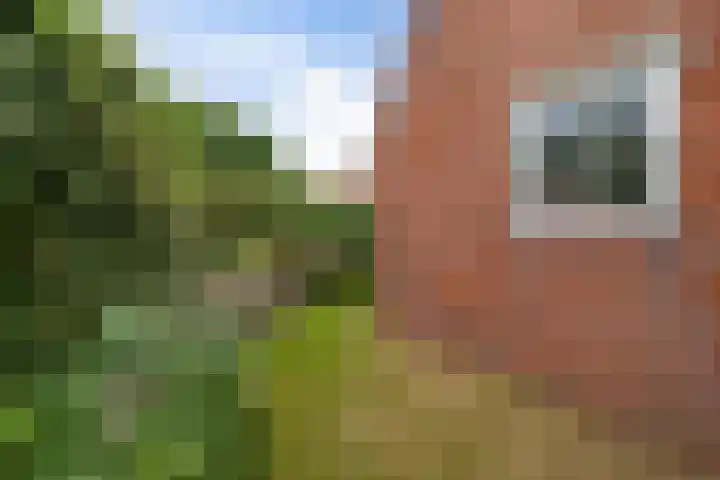 Hynstewaed 12 Stiens thumbnail 38