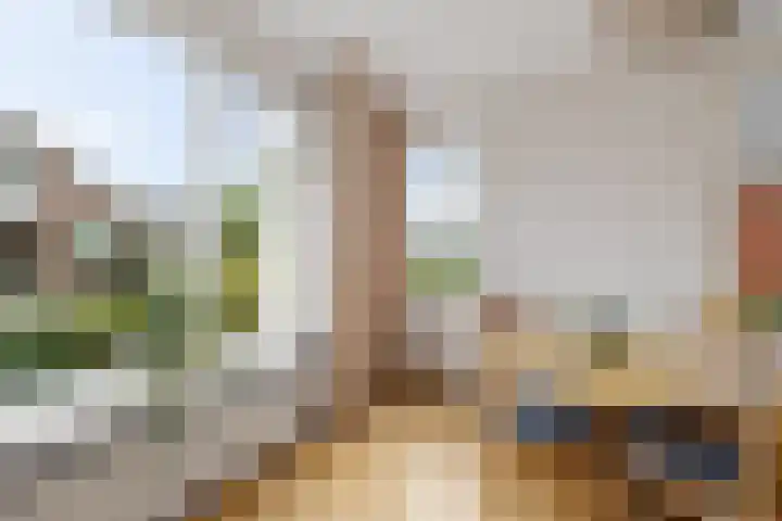 Hynstewaed 12 Stiens thumbnail 7