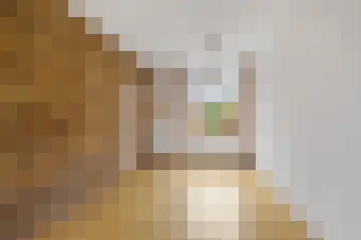 Hynstewaed 12 Stiens thumbnail 9