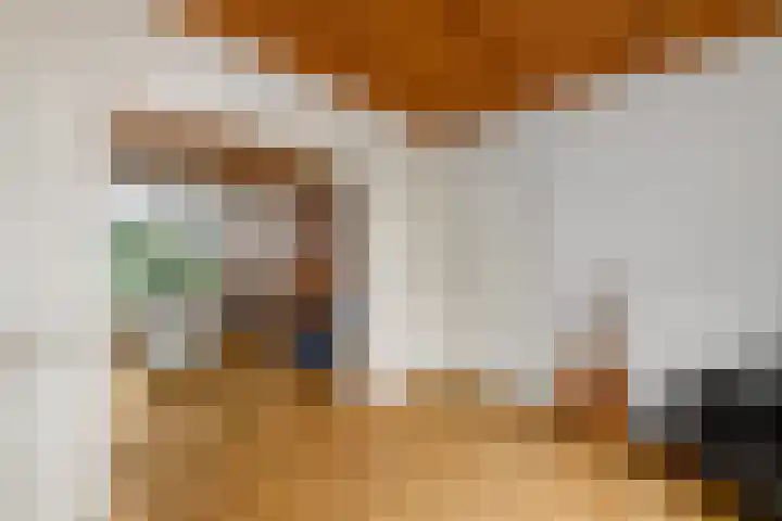 Hynstewaed 2 Stiens thumbnail 10