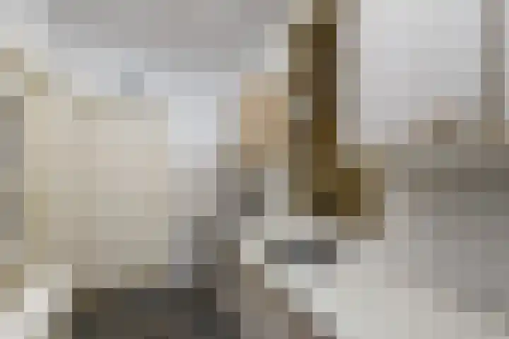 Hynstewaed 2 Stiens thumbnail 13