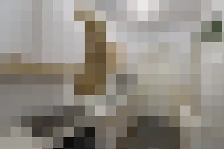 Hynstewaed 2 Stiens thumbnail 14