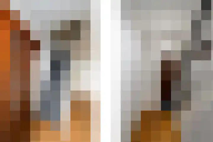 Hynstewaed 2 Stiens thumbnail 22