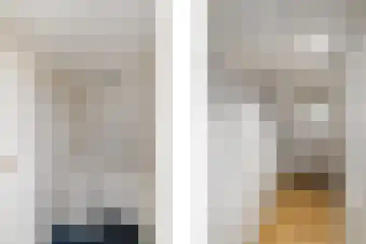Hynstewaed 2 Stiens thumbnail 24