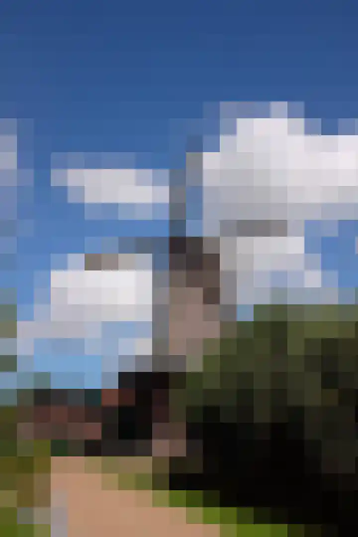 Hynstewaed 2 Stiens thumbnail 38