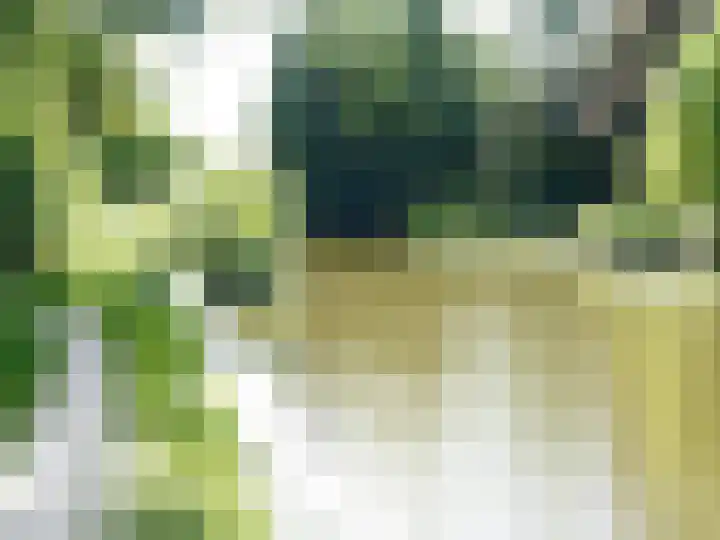 Hynstewaed 2 Stiens thumbnail 39