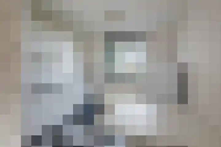Hypericumstraat 99 Almere thumbnail 12
