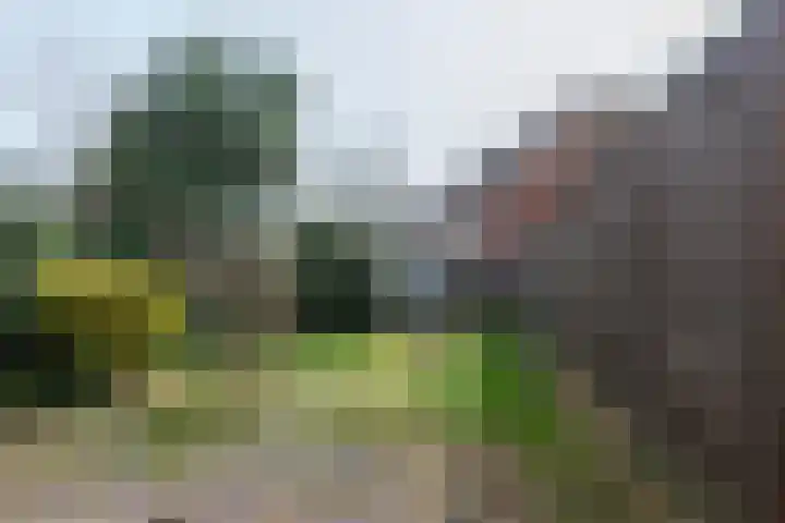 Hypericumstraat 99 Almere thumbnail 28