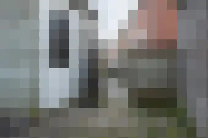 Hypericumstraat 99 Almere thumbnail 30
