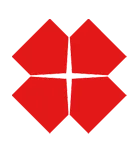 Logo Hypodomus Maastricht Lap & Pletsers