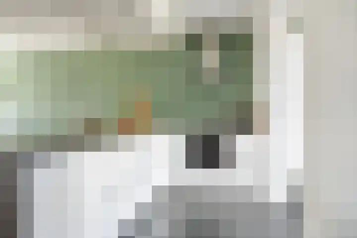 Hysopveld 34 Veghel thumbnail 12